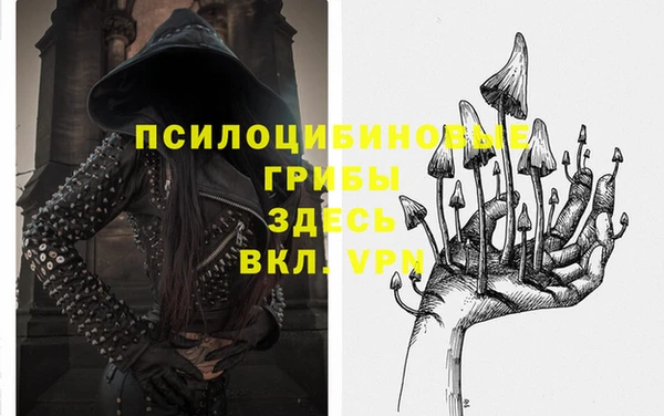эйфоретик Баксан