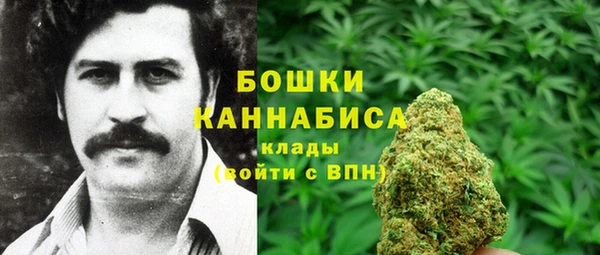 эйфоретик Баксан