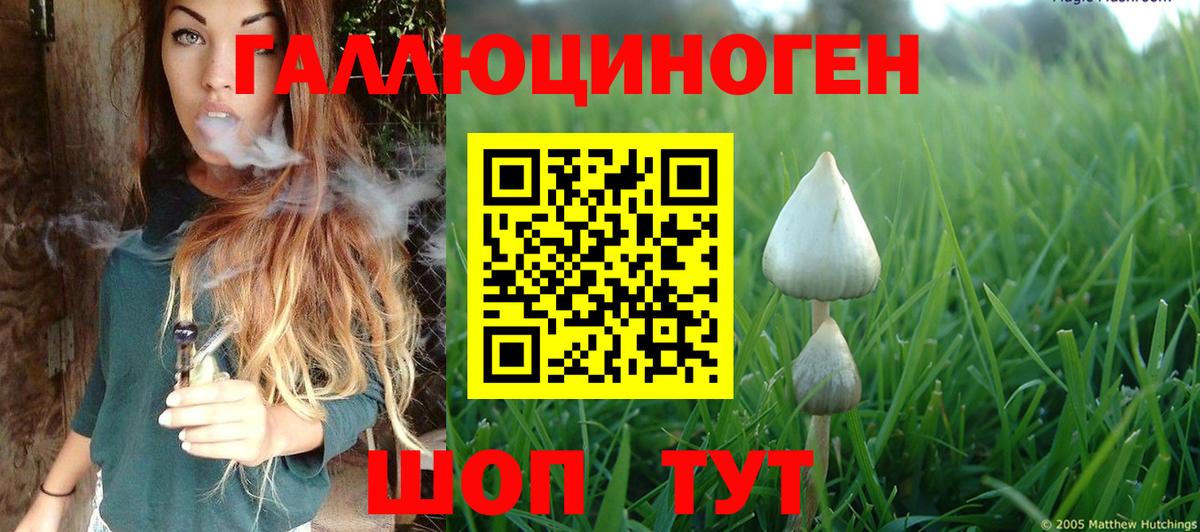 Кунгур  Псилоцибиновые грибы ЛСД  Вход с VPN  Галлюциногенные грибы Psilocybe 